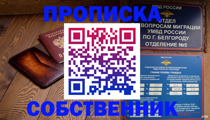 временная регистрация 2025 в Димитровграде